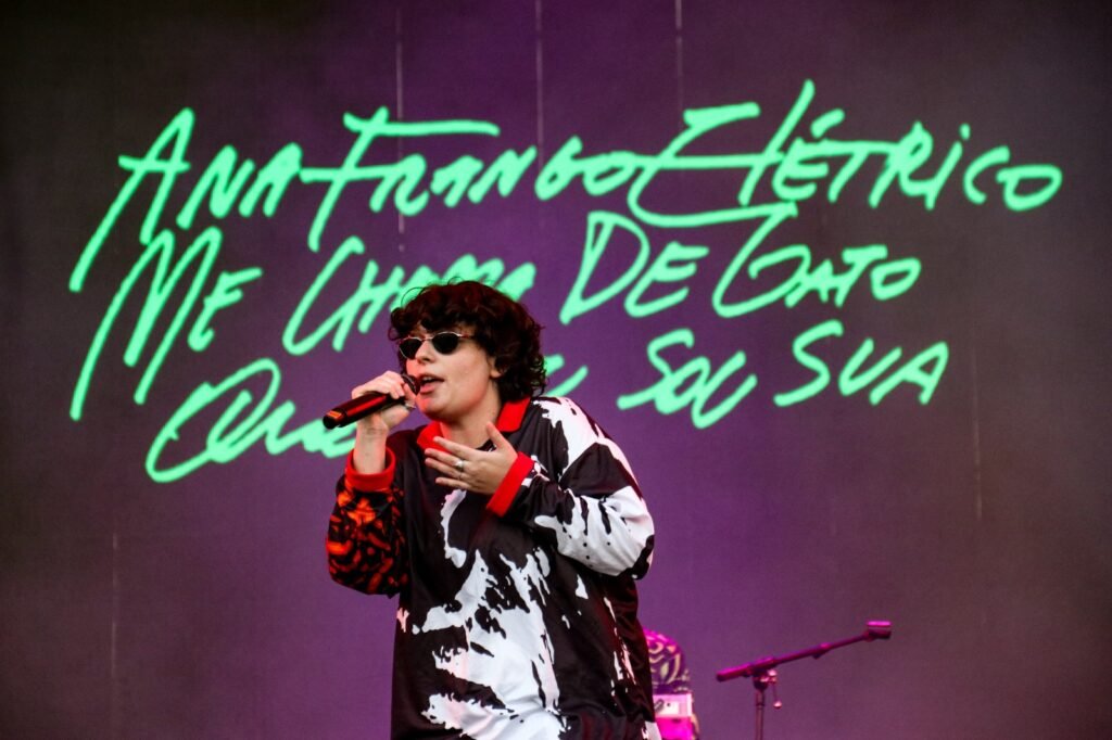 Ana Frango Elétrico