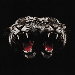 Royal Blood lança o single explosivo “Dead Company” e antecipa novo álbum de estúdio